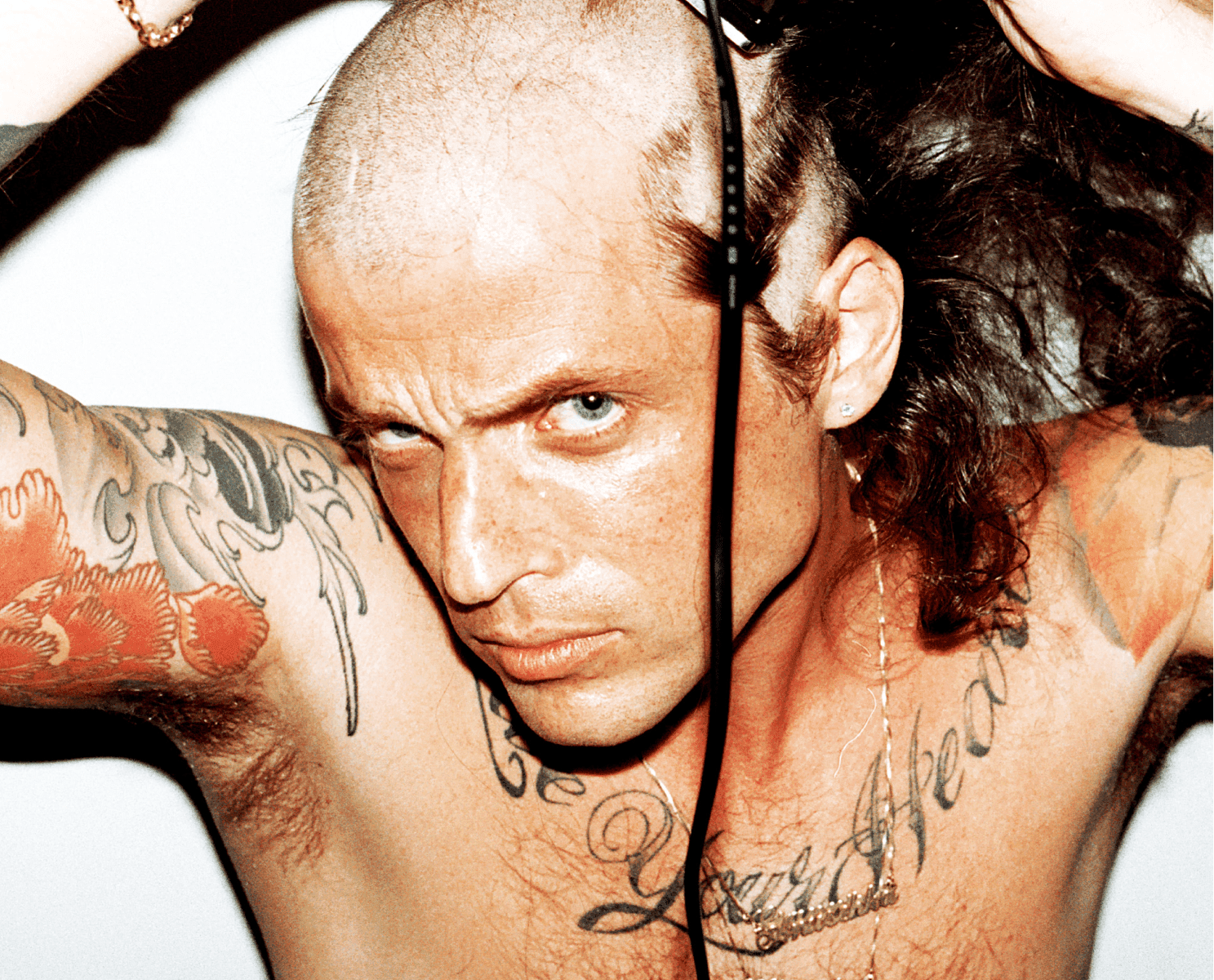 CARL-JAKOB-HAUPT-GGMBH-WEBSITE-LAUNCH