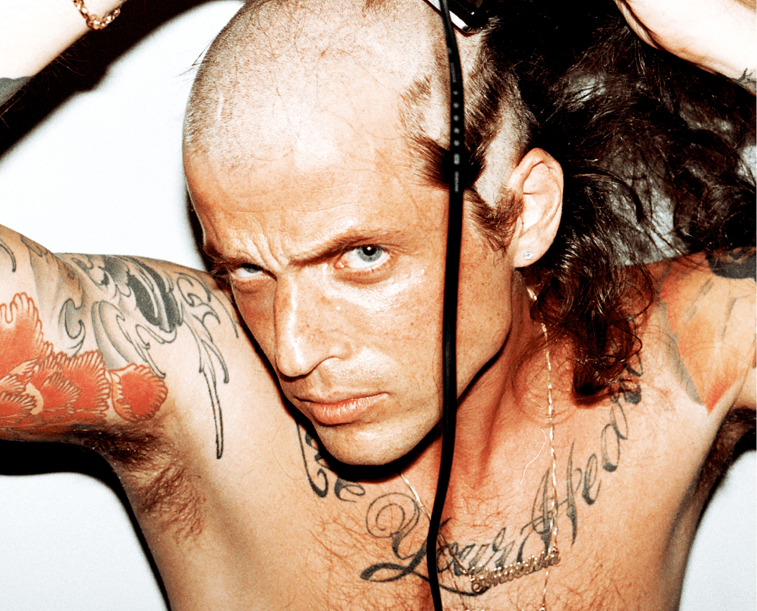 CARL-JAKOB-HAUPT-GGMBH-WEBSITE-LAUNCH